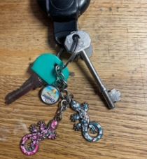 Keys found in Hall Lane 5th August 